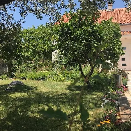 Orhideja Apartment *