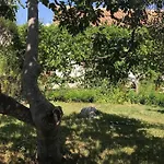 Orhideja Apartment