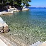 Orhideja *