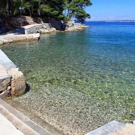 Orhideja *