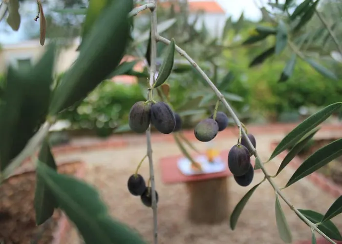 Appartamento Orhideja