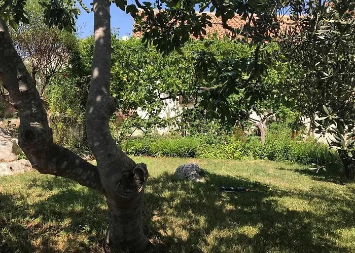 Orhideja Appartamento