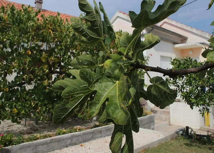 Appartamento Orhideja