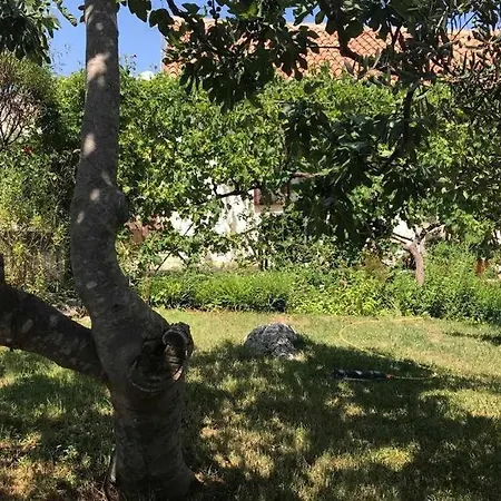 Orhideja Appartement