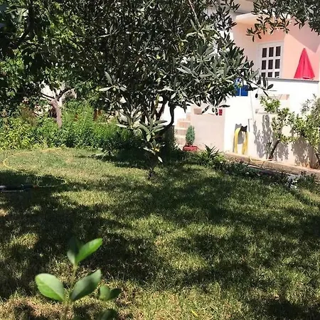 Appartement Orhideja *